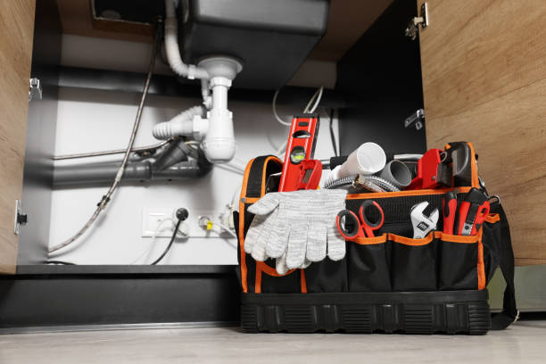 Best Clogged Drain Plumber  in Colchester, IL