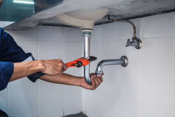 Best Commercial Plumbing Services  in Colchester, IL
