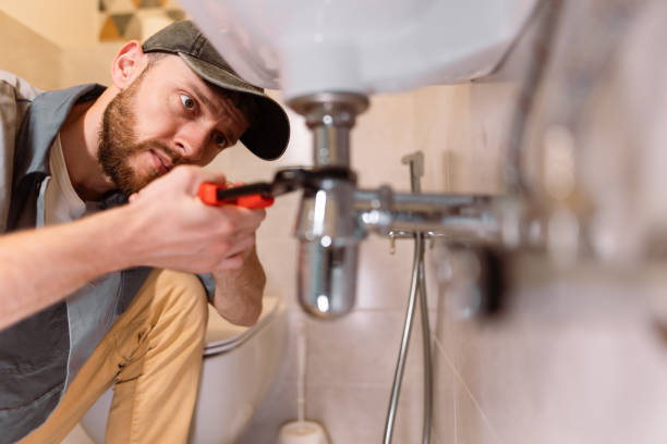 Best Commercial Plumbing Services  in Colchester, IL