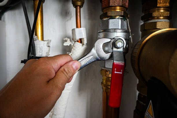 Best Sewer Line Repair  in Colchester, IL